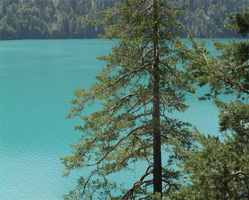 Weißensee